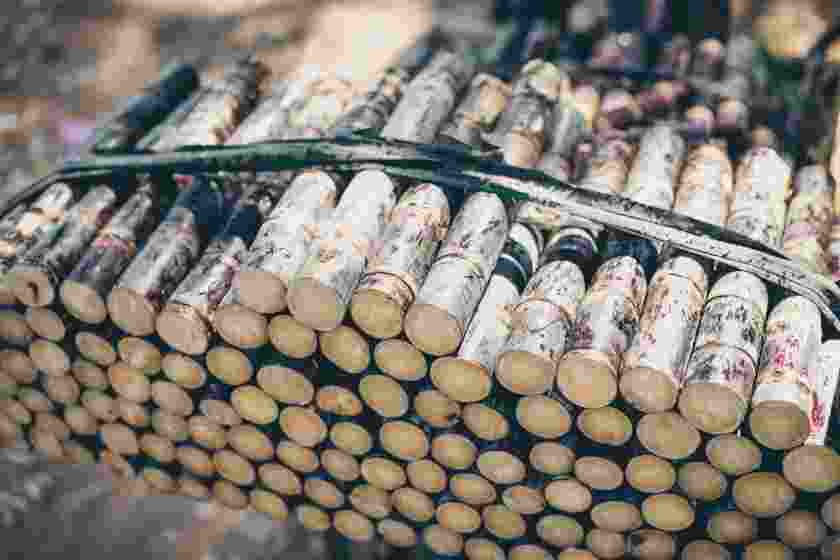 Sugarcane Juice Benefits in Hindi