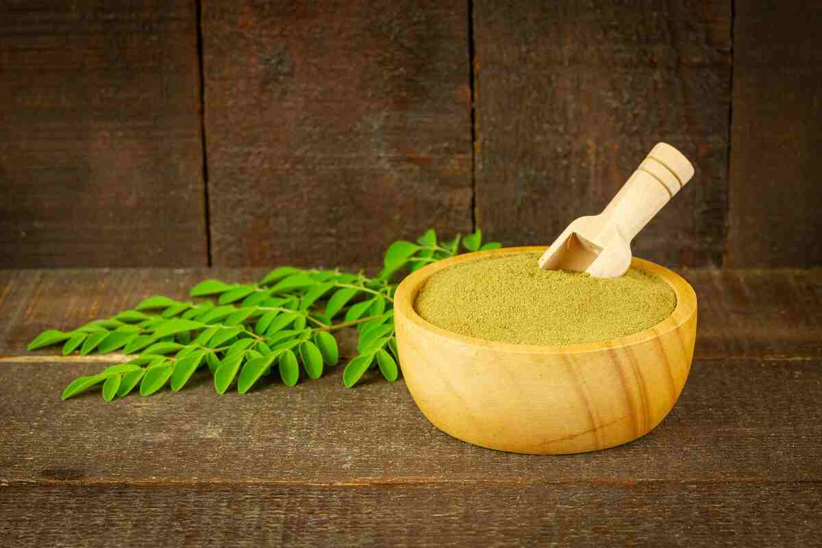 ninetechno moringa 6564668 1920 1
