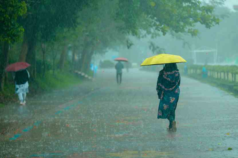 बारिश के मौसम में इम्यूनिटी बढ़ाने के प्राकृतिक उपाय