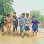 pexels tamhasipkhan 12588383